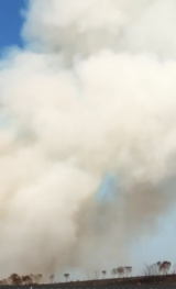 VÍDEO: o que fazer quando há queimadas ou neblina na rodovia