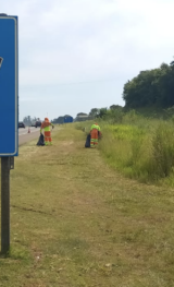 Mutirão de combate à dengue: Renovias recolhe 4,5 toneladas de lixo das margens das rodovias