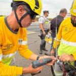 Renovias impacta mais de 650 pessoas com ações do Maio Amarelo nas rodovias